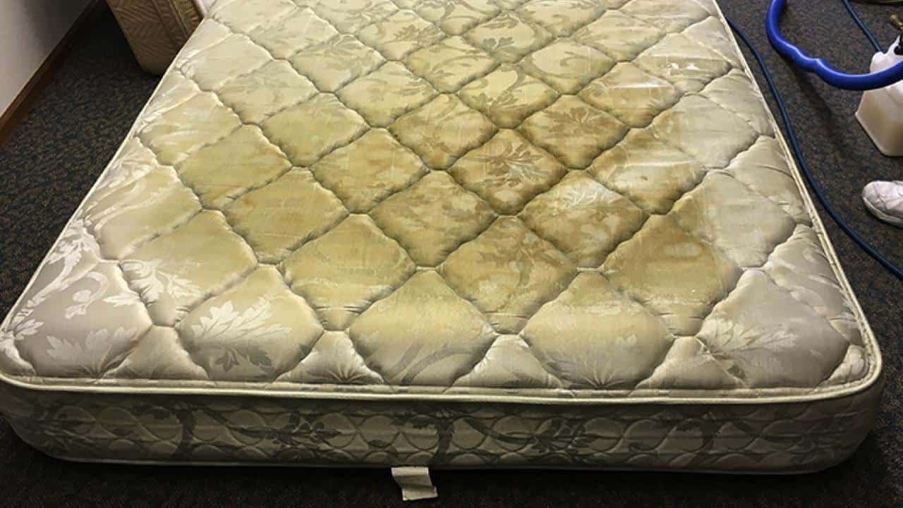 C'est ce qui se cache dans votre matelas : si vous l'aviez su vous l'auriez toujours nettoyé 1 C'est ce qui se cache dans votre matelas : si vous l'aviez su vous l'auriez toujours nettoyé 1