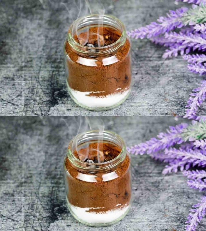 Repoussez Naturellement les Insectes d'Été avec Café et Clous de Girofle 1 Repoussez Naturellement les Insectes d'Été avec Café et Clous de Girofle 1