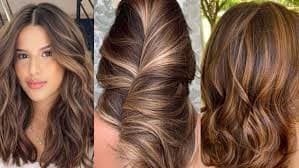 23 Couleurs de Cheveux Pour brune Tendance en 2023 11 23 Couleurs de Cheveux Pour brune Tendance en 2023 11