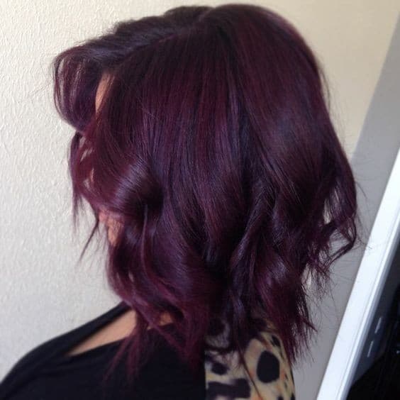 Couleur de cheveux prune : Nos 23 plus beaux modèles en 2023 2 Couleur de cheveux prune : Nos 23 plus beaux modèles en 2023 2