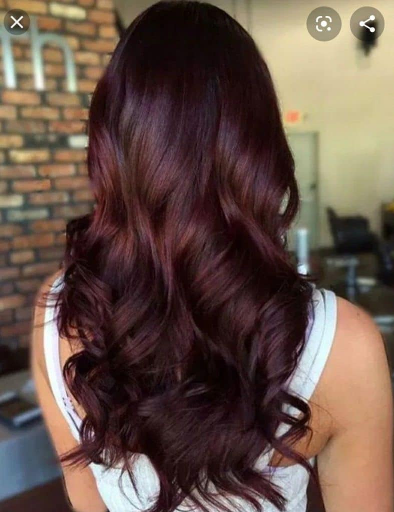 23 Couleurs de Cheveux Pour brune Tendance en 2023 6 23 Couleurs de Cheveux Pour brune Tendance en 2023 6