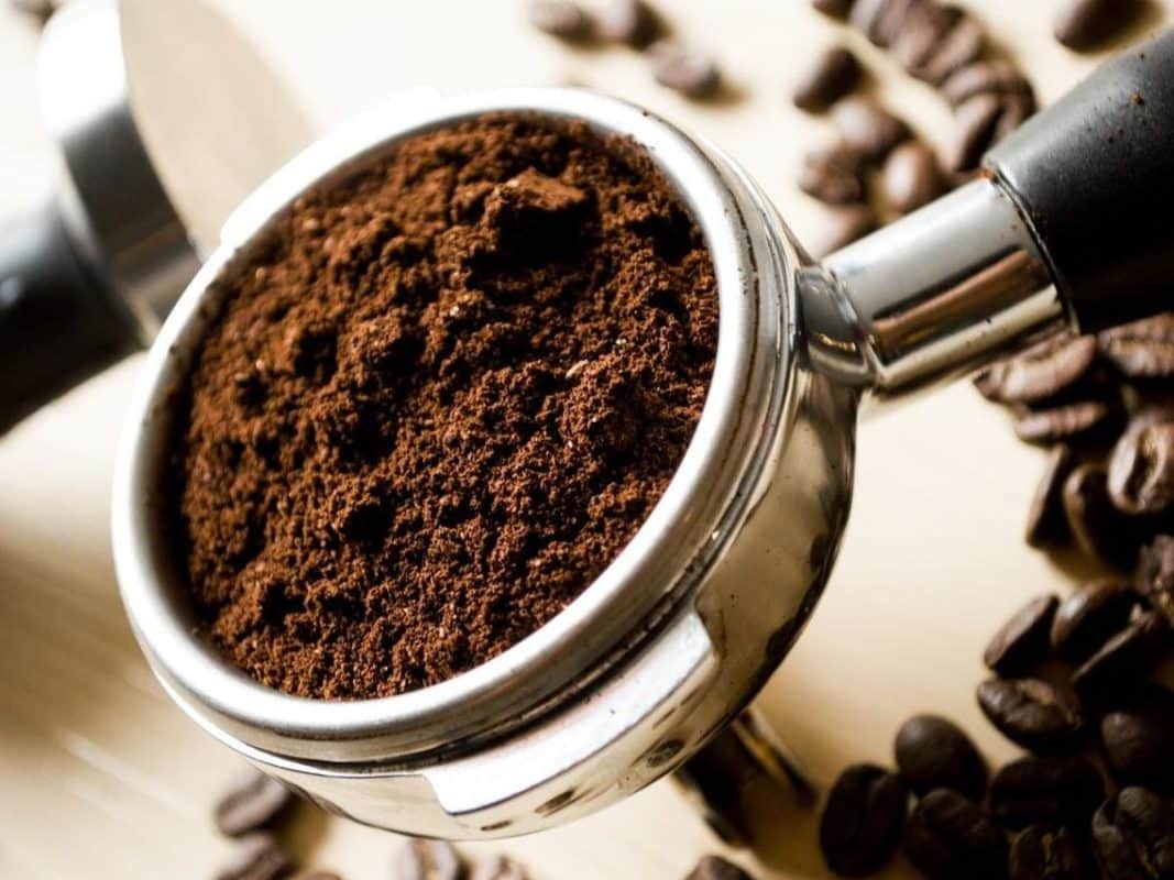 Café : La solution naturelle ultime contre les moustiques 2