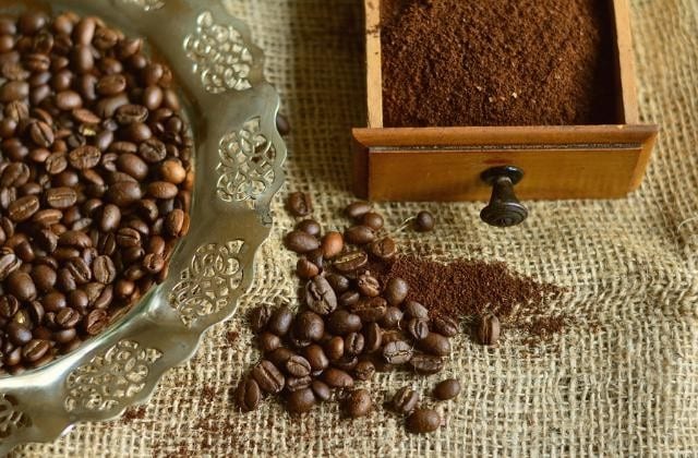 Café : La solution naturelle ultime contre les moustiques 3
