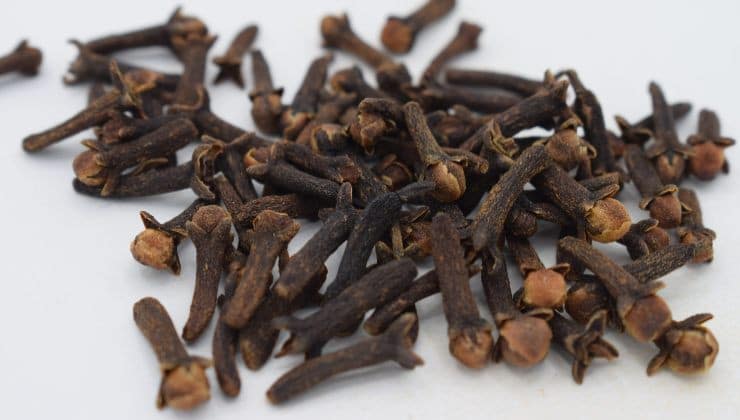 Dites adieux aux fourmis dans la salle de bain de manière naturelle 3 Dites adieux aux fourmis dans la salle de bain de manière naturelle 3