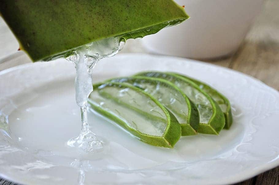 Aloe verra + Cheveux = Danger : Voici pourquoi 2 Aloe verra + Cheveux = Danger : Voici pourquoi 2