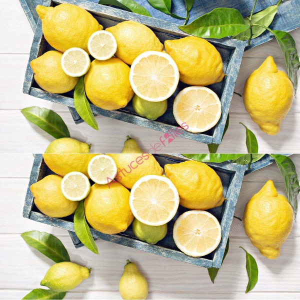 Les Vertus du Citron: Découvrez des Astuces Économiques pour une Salle de Bain Impeccable! 3