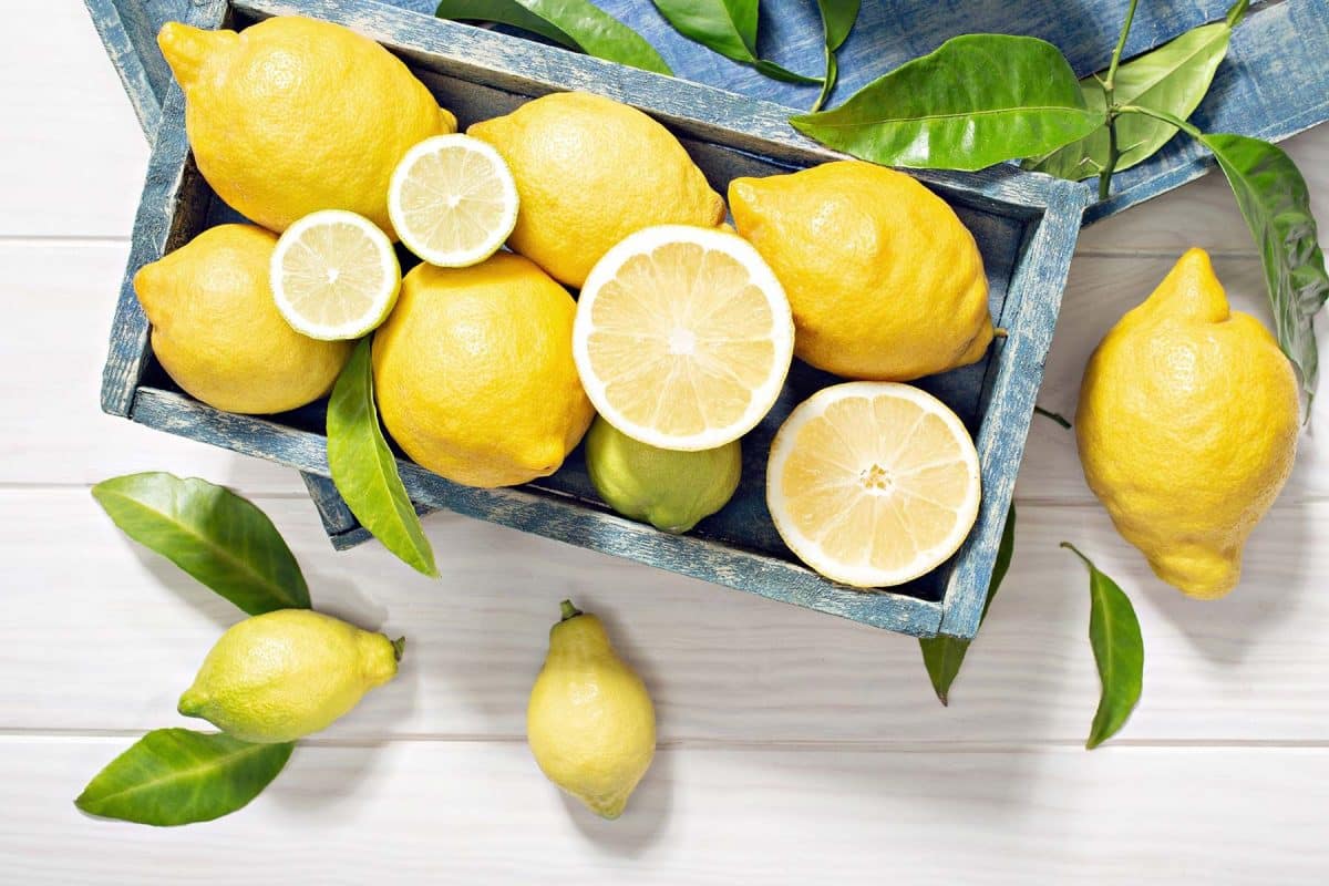 Les Vertus du Citron: Découvrez des Astuces Économiques pour une Salle de Bain Impeccable! 1 Les Vertus du Citron: Découvrez des Astuces Économiques pour une Salle de Bain Impeccable! 1