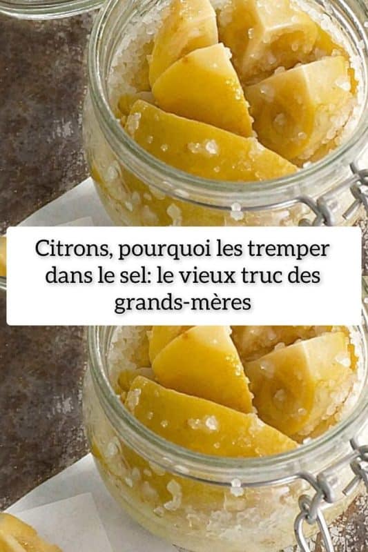 Le Sel, l'Astuce Magique de Grand-Mère pour Conserver vos Citrons ! 1 Le Sel, l'Astuce Magique de Grand-Mère pour Conserver vos Citrons ! 1