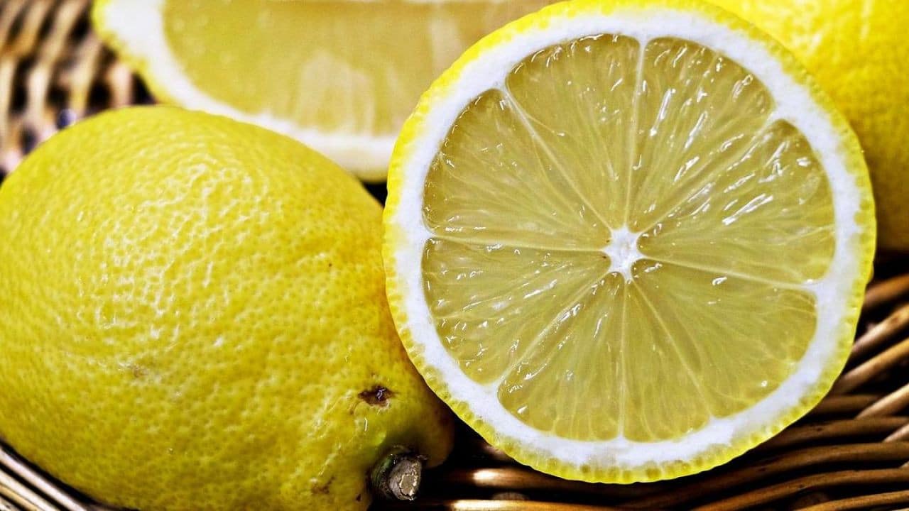 Le Sel, l'Astuce Magique de Grand-Mère pour Conserver vos Citrons ! 3