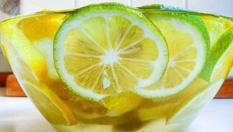 Le Sel, l'Astuce Magique de Grand-Mère pour Conserver vos Citrons ! 5