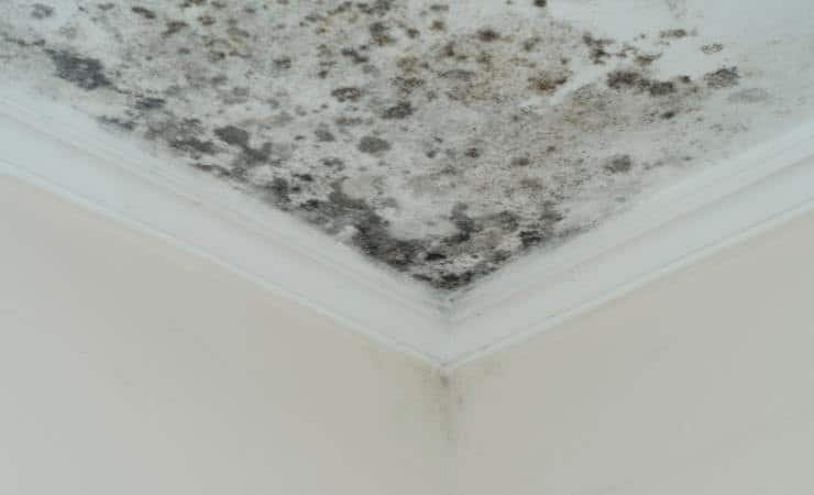 Éliminez L'Humidité de Votre Maison Avec Cet Ingrédient Magique : Dites Adieu à l'Humidité en Un Clin d'Œil! 2 Éliminez L'Humidité de Votre Maison Avec Cet Ingrédient Magique : Dites Adieu à l'Humidité en Un Clin d'Œil! 2