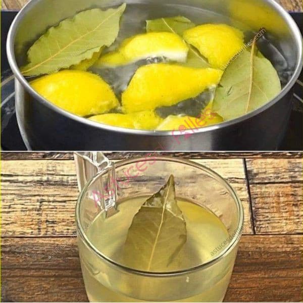 Eau de gingembre: la boisson la plus saine pour brûler toute la graisse abdominale, le cou , les bras , du dos et des cuisses! 1 Eau de gingembre: la boisson la plus saine pour brûler toute la graisse abdominale, le cou , les bras , du dos et des cuisses! 1