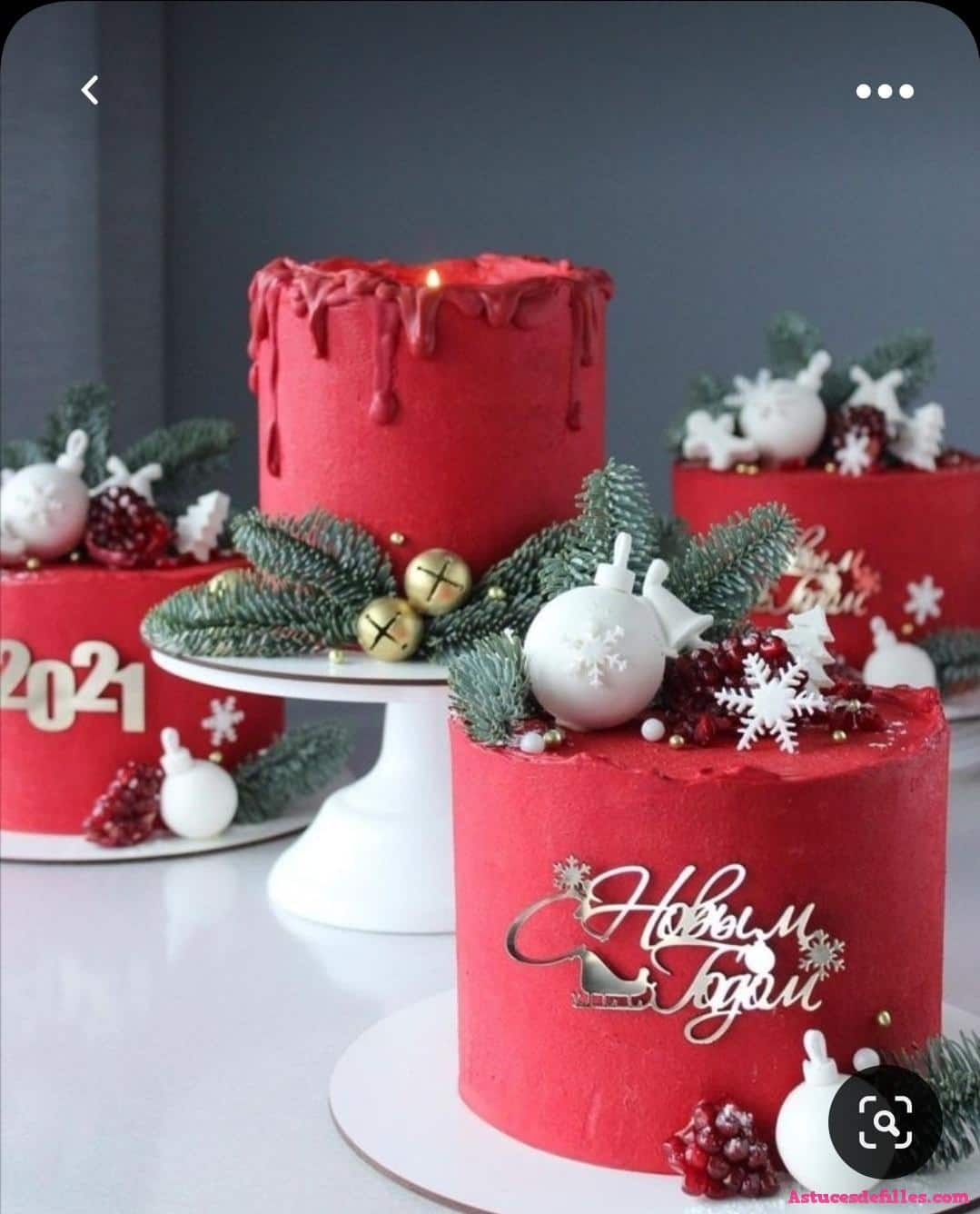 40 Très beaux gâteaux de Noël pour vous inspirer 22