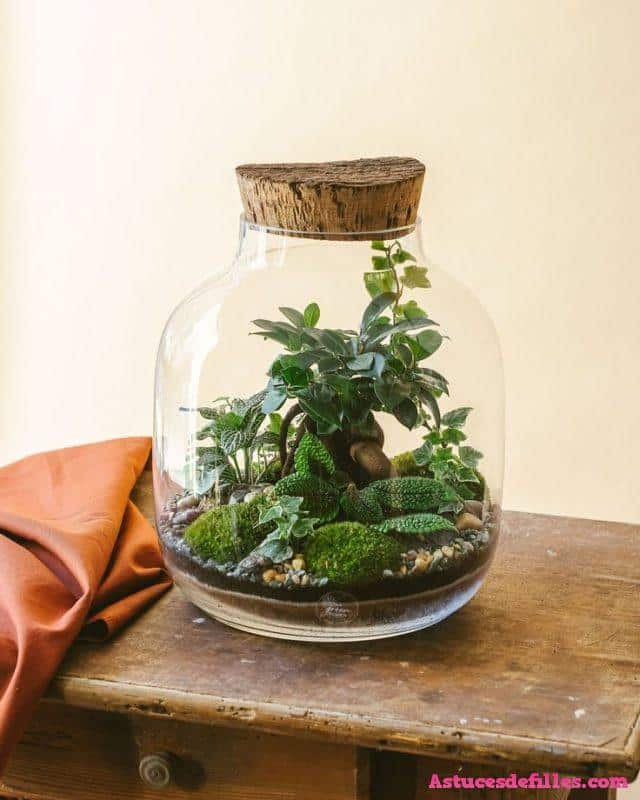20 façons d'intégrer des plantes aquatiques dans votre décoration intérieure 6