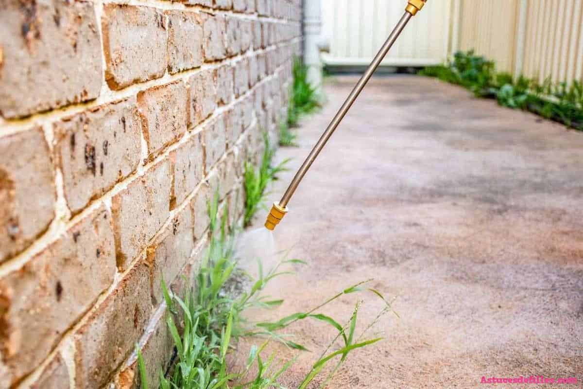 6 recettes de désherbants naturels ultra puissants 2