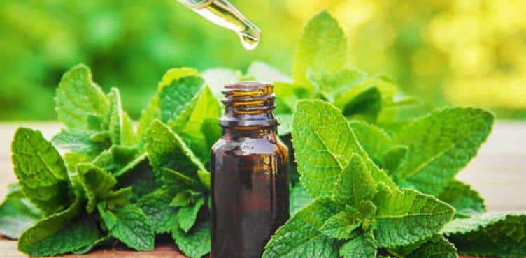 50 Usages Insoupçonnés de l'Huile Essentielle de Menthe Poivrée