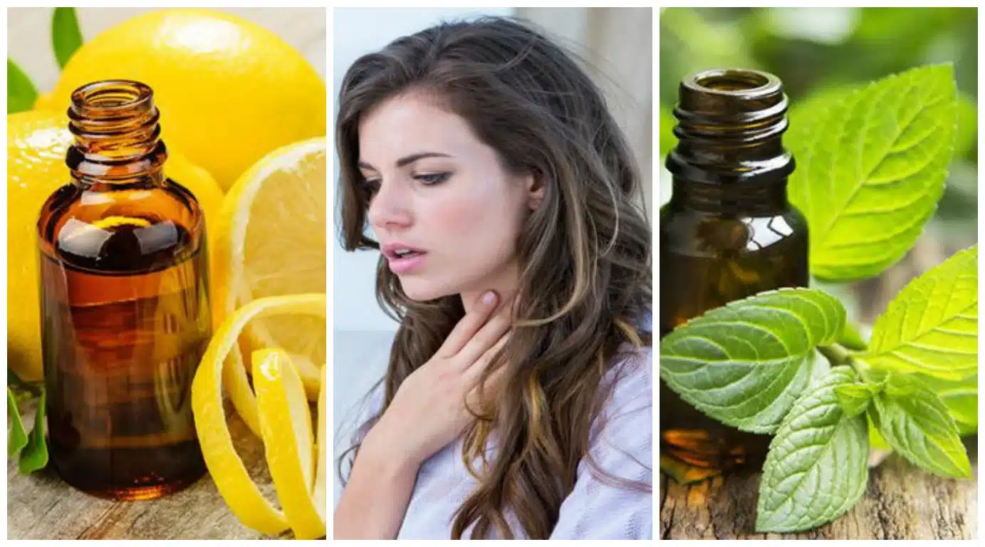 50 Usages Insoupçonnés de l'Huile Essentielle de Menthe Poivrée 1 50 Usages Insoupçonnés de l'Huile Essentielle de Menthe Poivrée 1