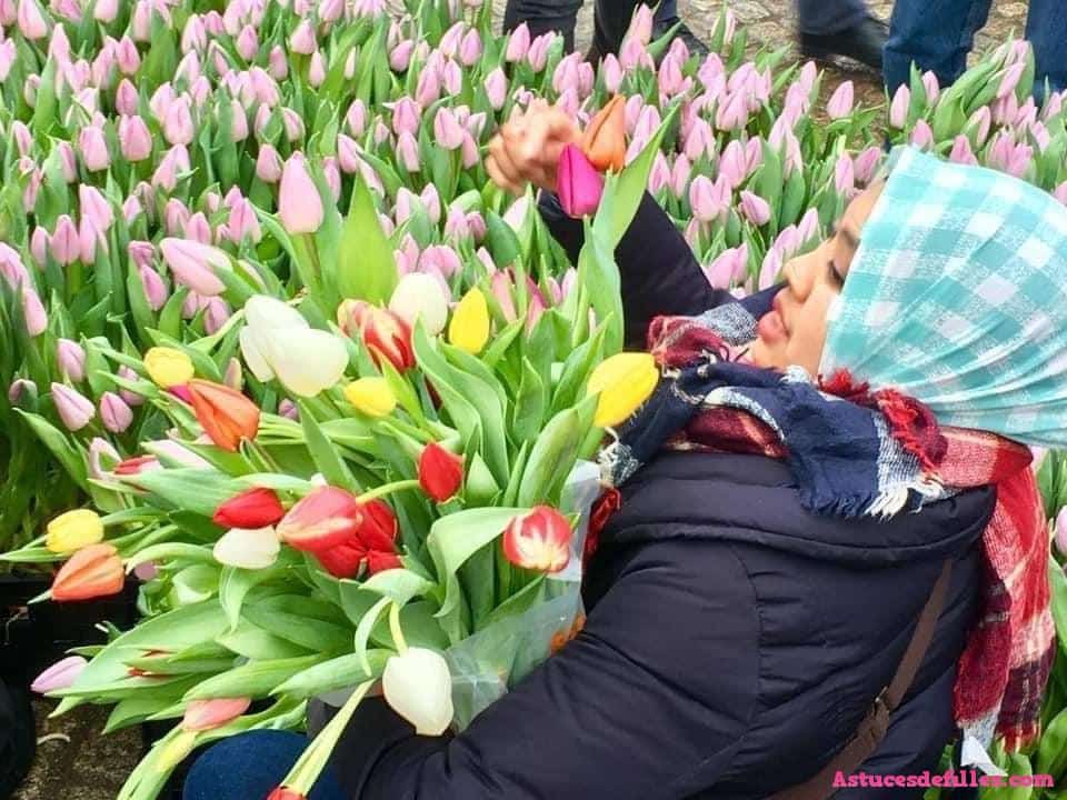 Chaque janvier, il y a une journée de tulipes gratuites à Amsterdam 2