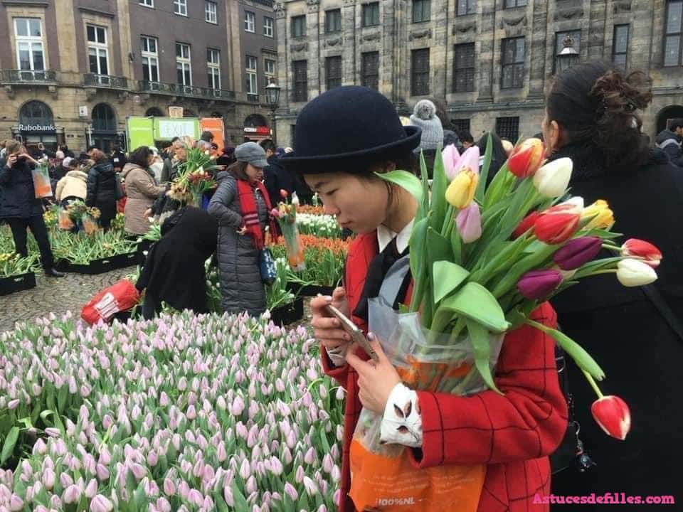 Chaque janvier, il y a une journée de tulipes gratuites à Amsterdam 3