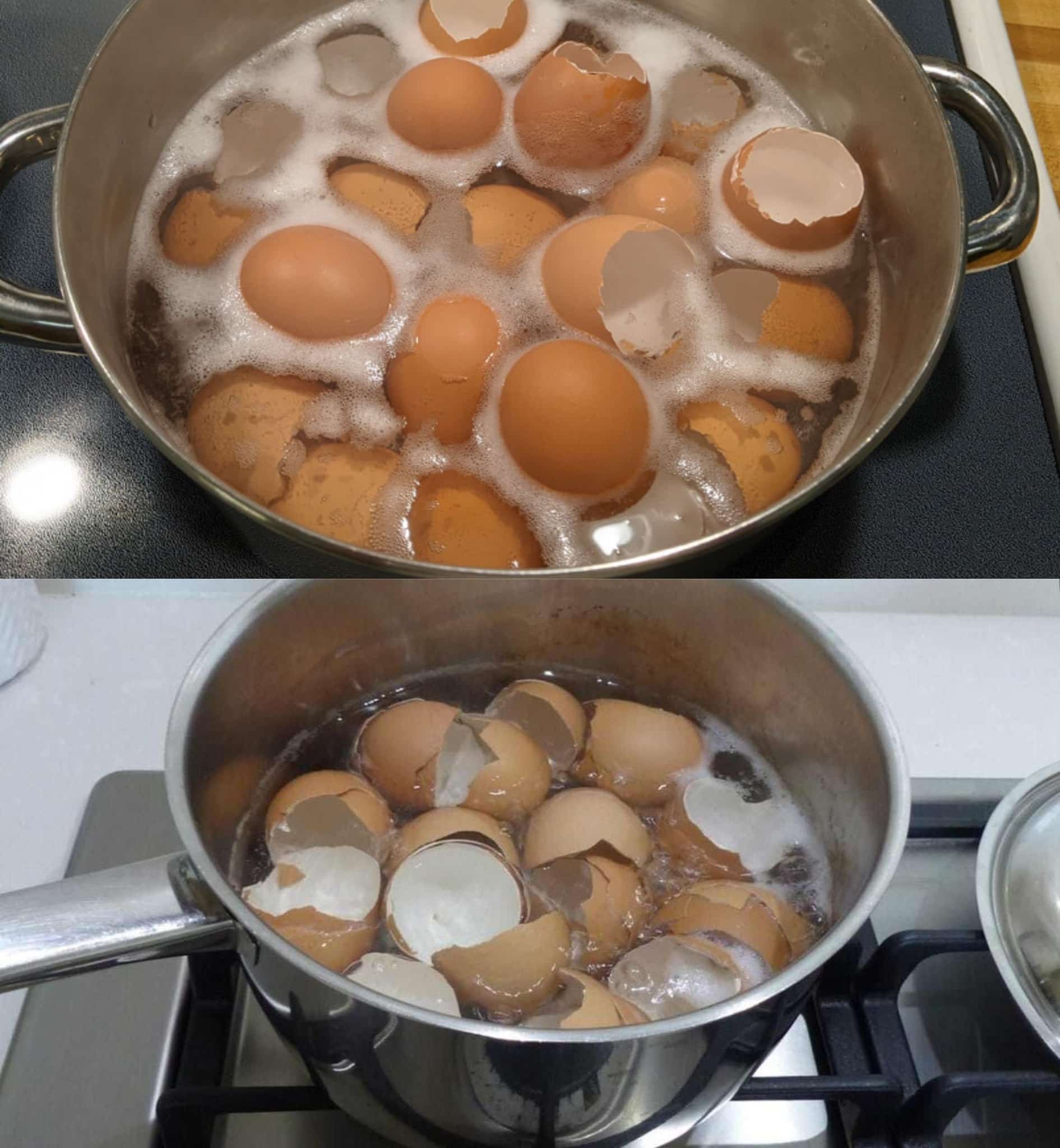 Coquilles d'Œufs : L'Astuce Économique et Écologique pour un Jardin Luxuriant 4