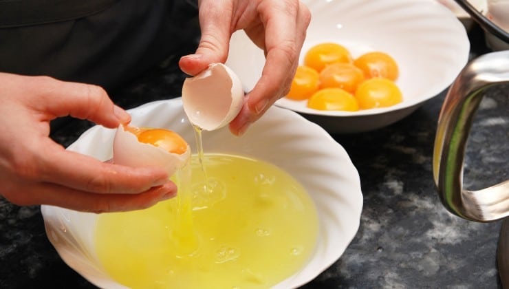 Coquilles d'Œufs : L'Astuce Économique et Écologique pour un Jardin Luxuriant 2