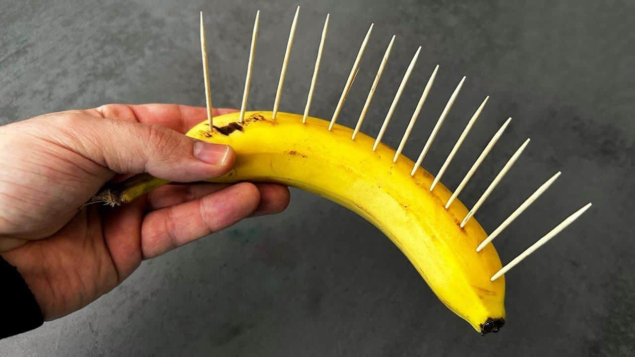 Découvrez le Secret des Messages Mystérieux sur vos Bananes avec un Simple Cure-Dent 1