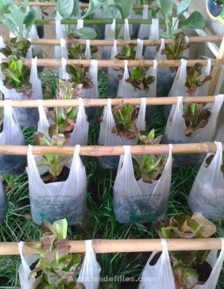 21 idées pour mettre un potager dans votre jardin 9