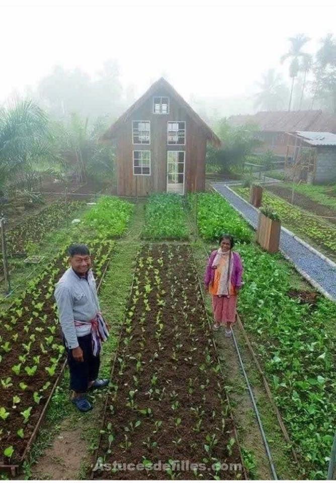 21 idées pour mettre un potager dans votre jardin 12