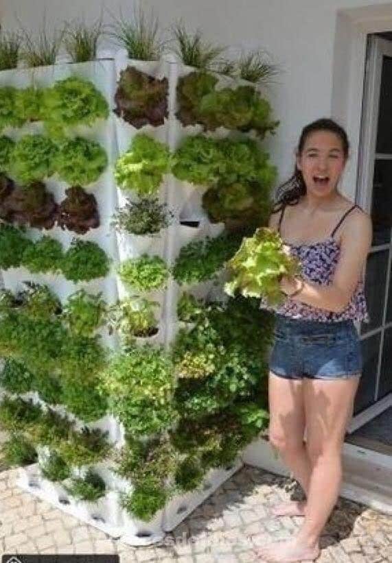 21 idées pour mettre un potager dans votre jardin 19