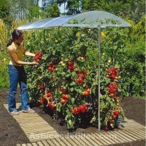 21 idées pour mettre un potager dans votre jardin 21