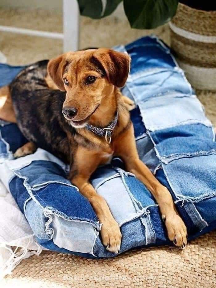 25 nouvelles façons de réutiliser de vieux jeans 2