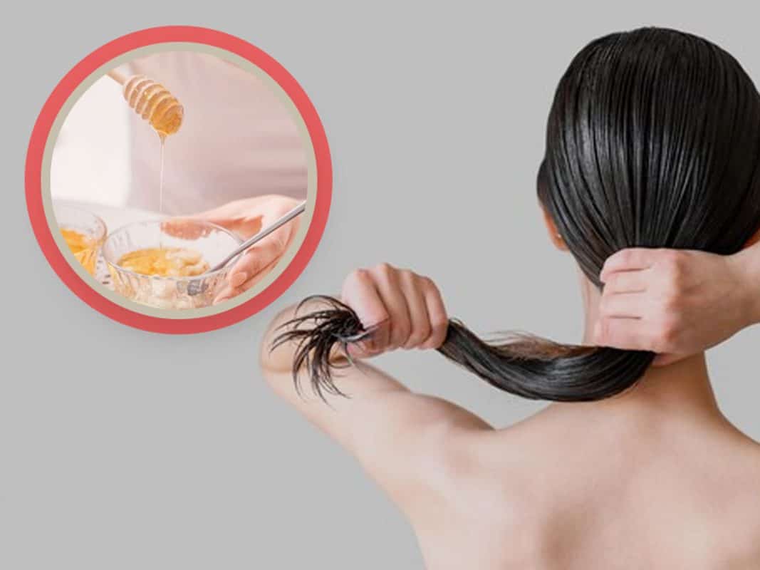 Un Masque Capillaire Nourrissant ‘fait maison’ avec Trois Ingrédients Simples 1 Un Masque Capillaire Nourrissant ‘fait maison’ avec Trois Ingrédients Simples 1