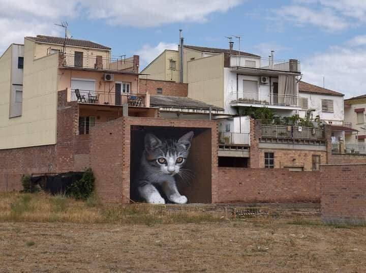 Street Art en 3D: Plongée dans l'Univers Surprenant des Fresques Urbaines 25 Street Art en 3D: Plongée dans l'Univers Surprenant des Fresques Urbaines 25