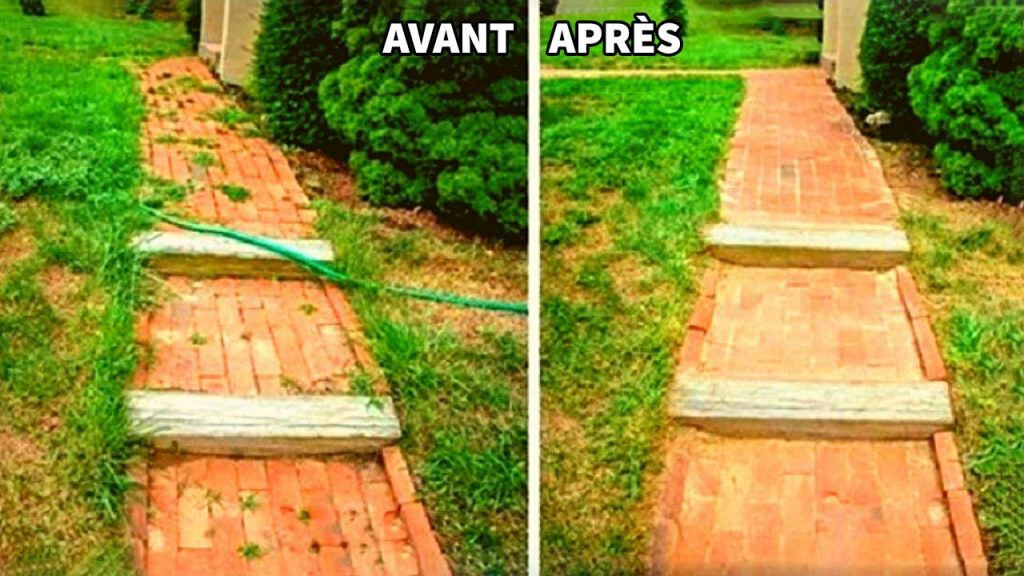 Débarrassez-vous des mauvaises herbes en un clin d'œil grâce au vinaigre blanc : astuce infaillible 2 Débarrassez-vous des mauvaises herbes en un clin d'œil grâce au vinaigre blanc : astuce infaillible 2