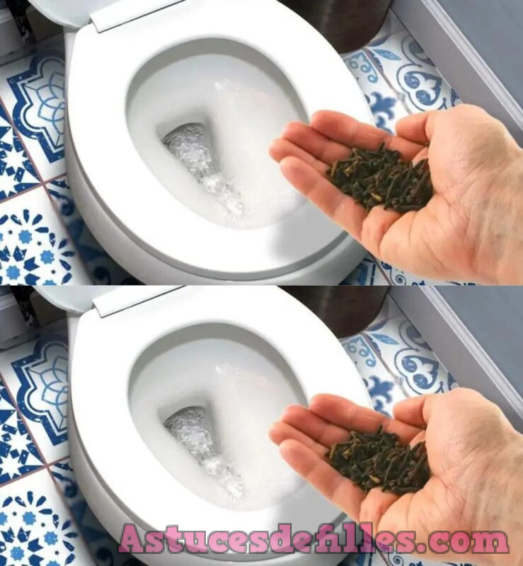La astuce ultime pour éliminer l'odeur d'urine de la salle de bain et laisser un arôme agréable 1 La astuce ultime pour éliminer l'odeur d'urine de la salle de bain et laisser un arôme agréable 1