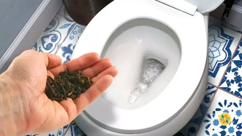 Élimination Efficace des Odeurs d'Urine en Salle de Bain : Astuces et Solutions Naturelles 1 Élimination Efficace des Odeurs d'Urine en Salle de Bain : Astuces et Solutions Naturelles 1